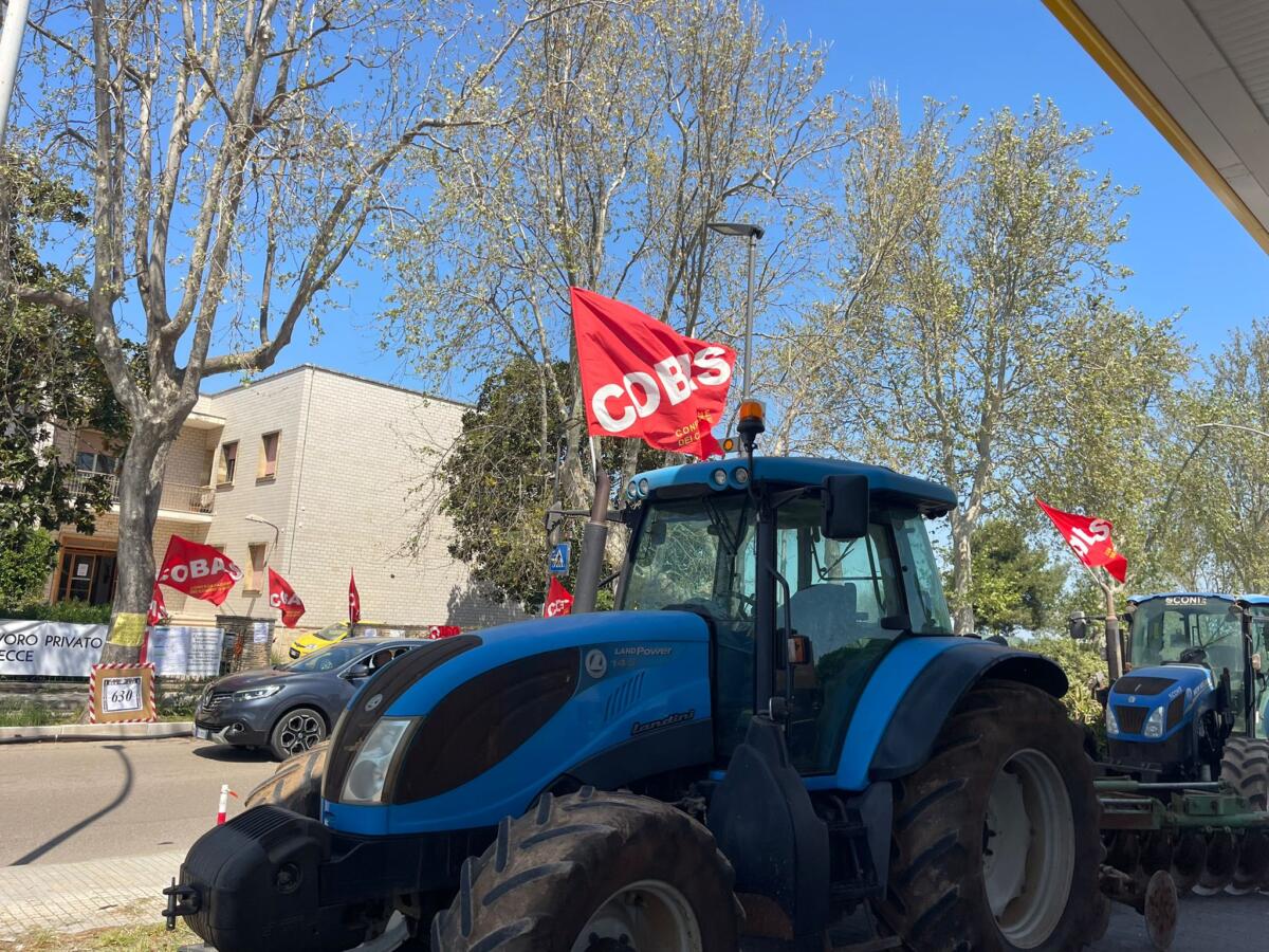 Galleria foto 'Nardò, la rivolta dei trattori all’ex Consorzio di Bonifica dell’Arneo: agricoltori tentano l’occupazione – FOTO' - foto 3