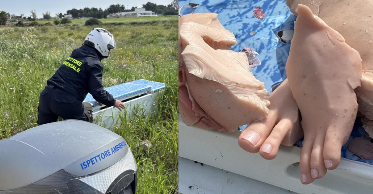 Galleria foto 'Macabro ritrovamento a Porto Cesareo: “cadavere” in un frigo abbandonato, ma è una bambola per adulti' - foto 1