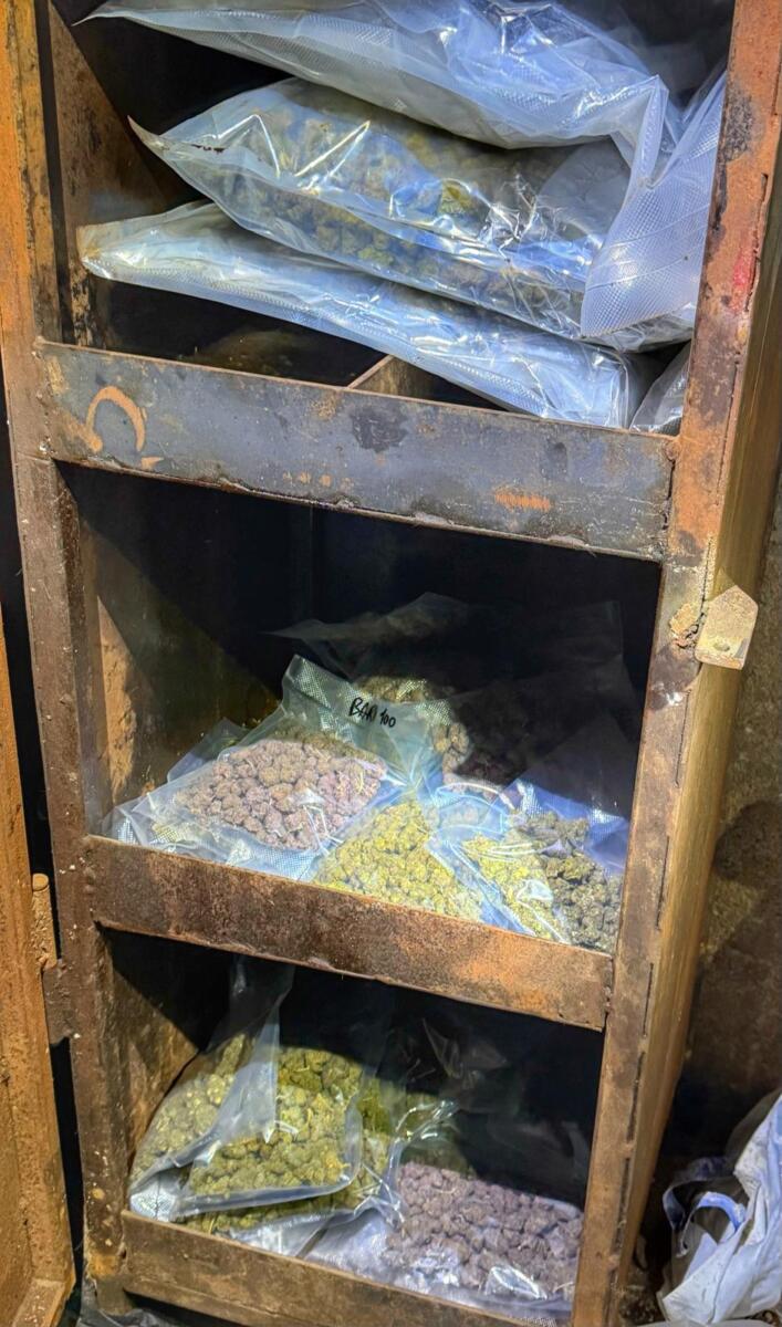 Stalla trasformata in deposito di droga: sequestrati 11,5 kg di marijuana, arrestato 23enne salentino – FOTO