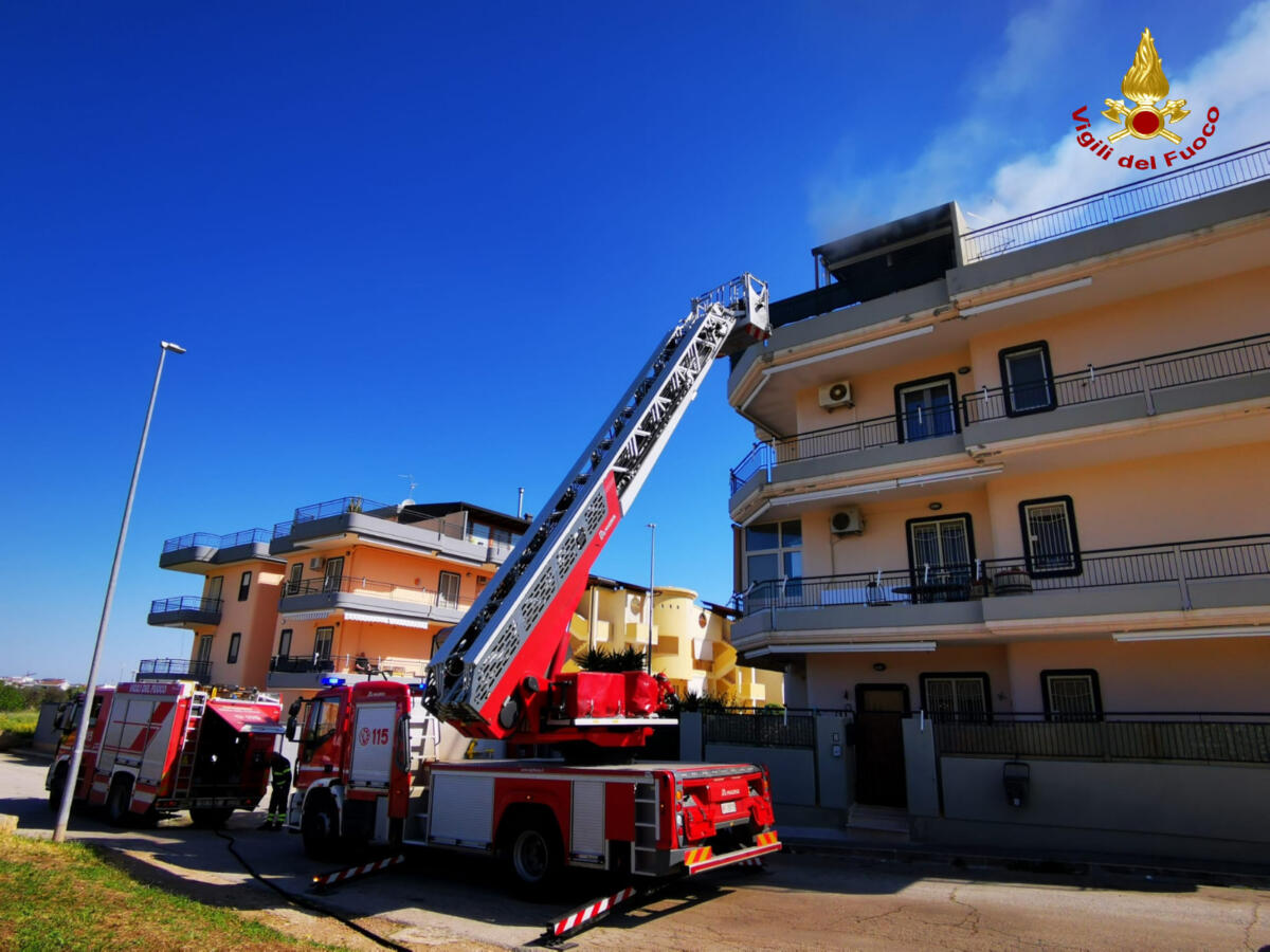 Palo del Colle, incendio all’ultimo piano di un palazzo: fiamme dagli elettrodomestici. Nessun ferito – FOTO