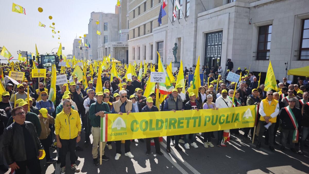 Decaro a manifestazione Coldiretti: «Investimenti per nuove generazioni di agricoltori» Decaro a manifestazione Coldiretti: «Investimenti per nuove generazioni di agricoltori»