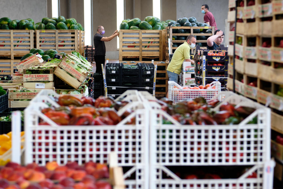 L’innovazione nell’agroalimentare contro le crisi del mercato globale L’innovazione nell’agroalimentare contro le crisi del mercato globale