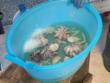 Bari, vendita irregolare di pescato: sequestrati 10 chili di prodotto ittico