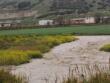 Maltempo in Puglia: agricoltura sott’acqua, allerta arancione e scuole chiuse – VIDEO