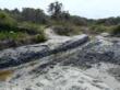 Otranto, scavi abusivi e corsi d’acqua deviati nell’area dei laghi Alimini: scatta il sequestro – FOTO