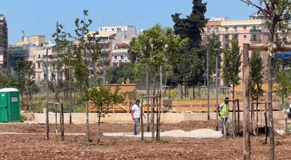Bari, l’ex Fibronit diventa il “Parco della Rinascita”. Leccese: «Opere al 90%, piantati i primi 400 alberi» – VIDEO