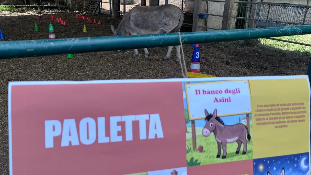 Alberobello, gli asini diventano co-terapeuti per la salute mentale – FOTO