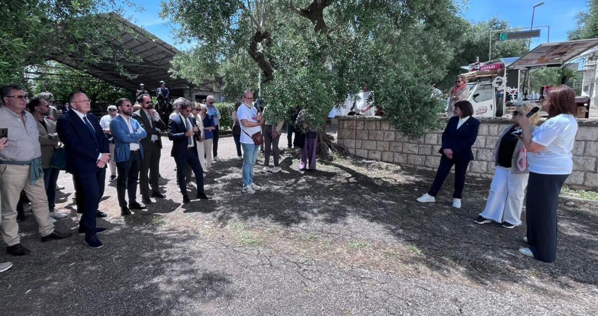 Alberobello, gli asini diventano co-terapeuti per la salute mentale – FOTO