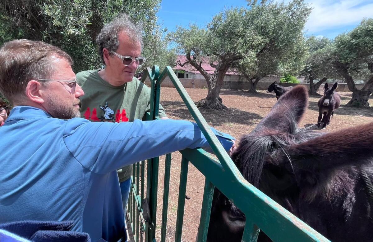 Alberobello, gli asini diventano co-terapeuti per la salute mentale – FOTO