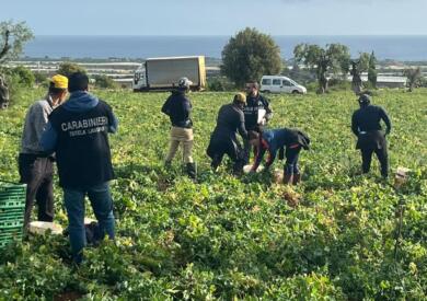 Poca sicurezza e lavoratori in nero, 13 imprese sospese tra Bari e Bat: multe per 450mila euro