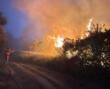 Fuoco sul Monte Faeta: bruciati 800 ettari, evacuate oltre 3500 persone tra Pisa e San Giuliano Terme