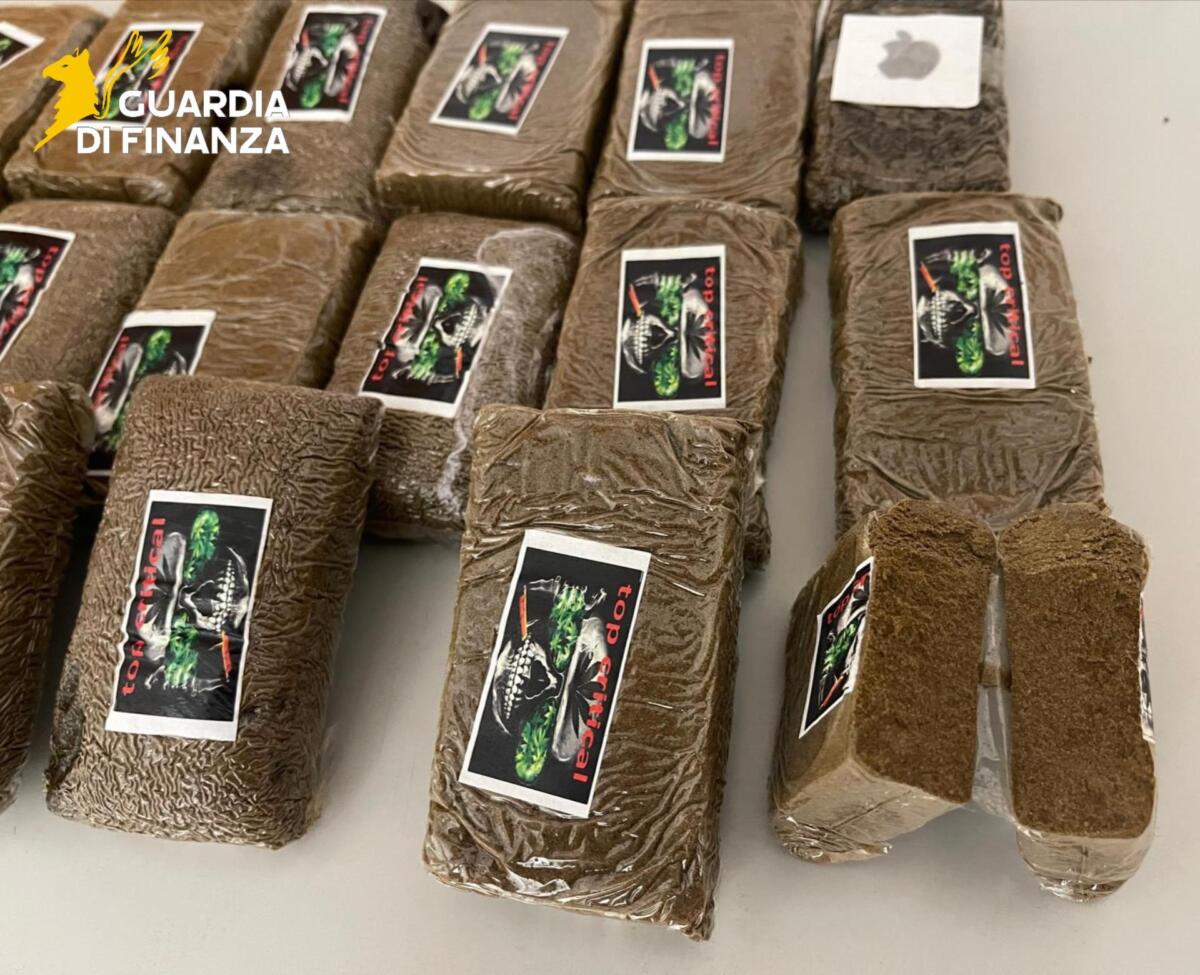 Traffico di droga nel Salento, sequestrati 110 chili di cocaina e hashish: indagate 9 persone – FOTO Traffico di droga nel Salento, sequestrati 110 chili di cocaina e hashish: indagate 9 persone – FOTO