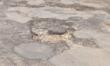 Bari, strade “colabrodo” e ripristini fantasma: il sindaco Leccese blocca i cantieri dei sottoservizi