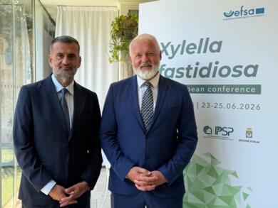 Puglia capitale mondiale della ricerca sulla Xylella: a Mola di Bari la conferenza dell’EFSA