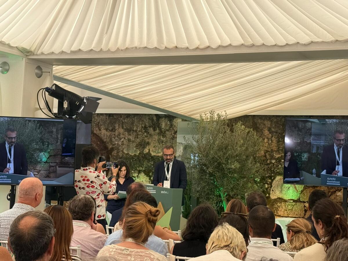 Puglia capitale mondiale della ricerca sulla Xylella: a Mola di Bari la conferenza dell’EFSA Puglia capitale mondiale della ricerca sulla Xylella: a Mola di Bari la conferenza dell’EFSA