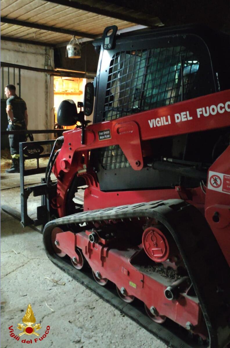Salvataggio nella notte a Valenzano: anziano cavallo rimesso in piedi dai Vigili del Fuoco