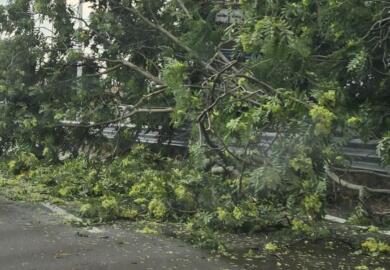 Puglia divisa in due: bomba d’acqua e alberi abbattuti a Taranto, a Bari “bollino rosso” per il caldo
