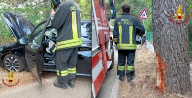 Sbanda con l’auto e si schianta contro un albero: donna estratta dalle lamiere nel Barese