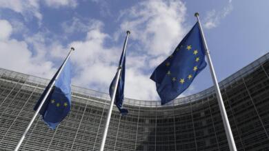 Deforestazione zero, la conformità nei contratti prima che il calendario degli adempimenti