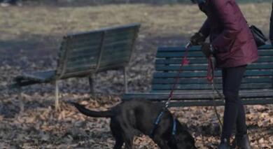 Bari, ordinanza sul decoro urbano: obbligo di bottiglietta d’acqua per i proprietari di cani
