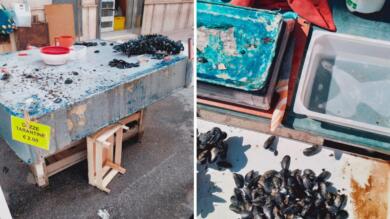 Taranto, stretta contro la vendita illegale di cozze: sequestrati i banchi, denunciati gli abusivi