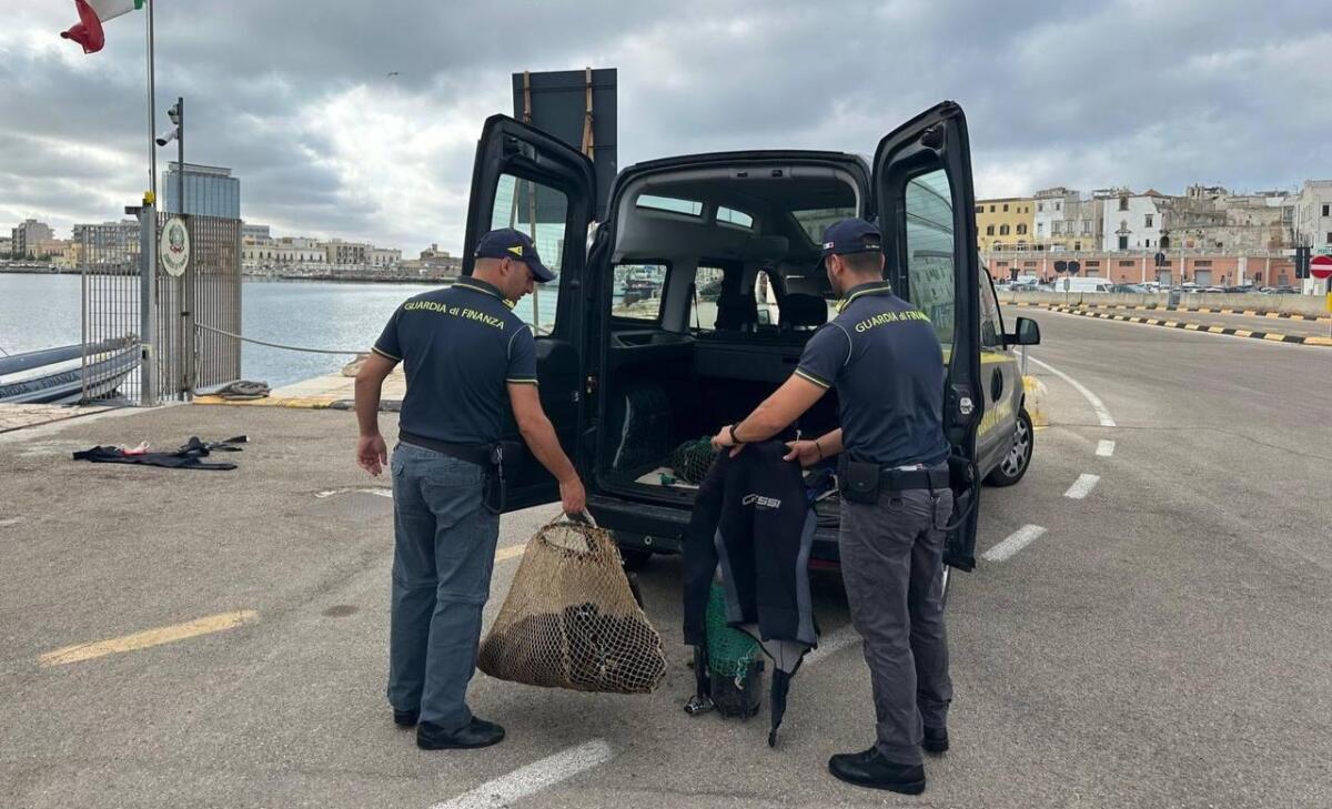 Gallipoli, pesca illegalmente 30 chili di ricci di mare: maxi multa per un sub – VIDEO