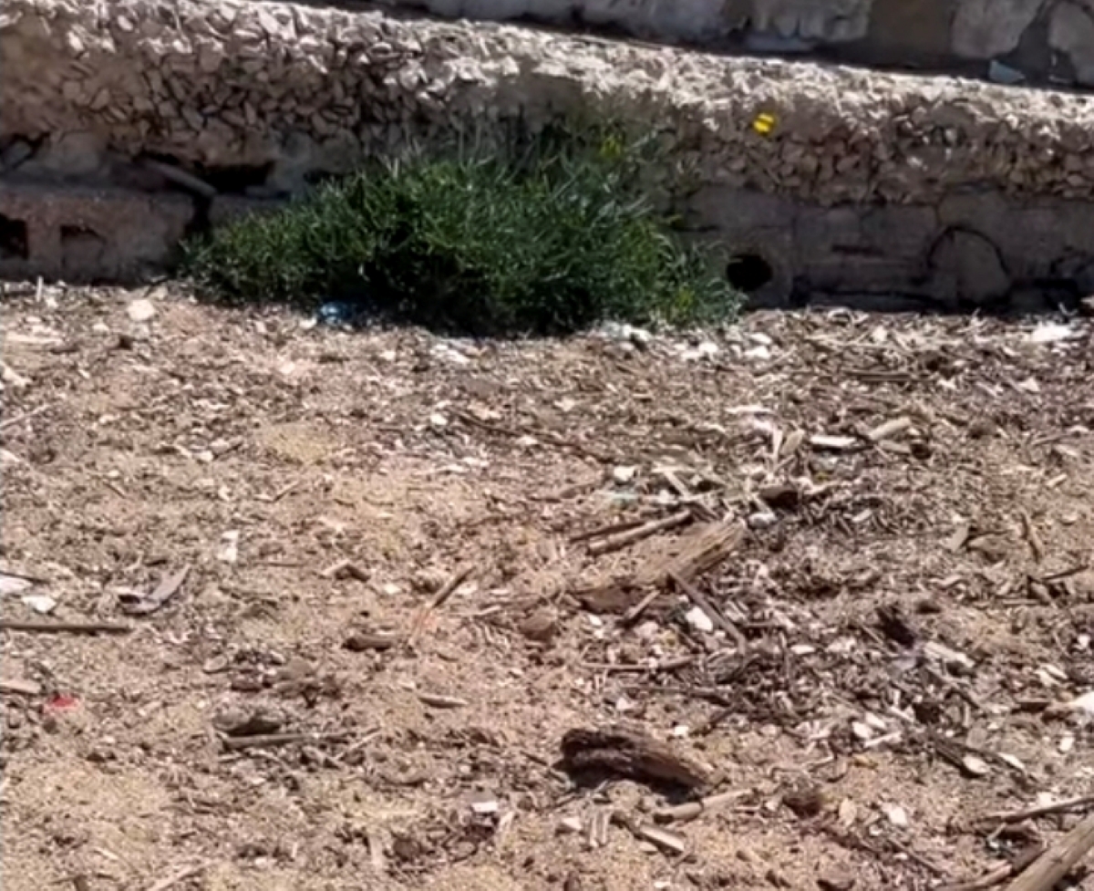 Bari, rifiuti abbandonati in spiaggia: i residenti invocano multe più salate Bari, rifiuti abbandonati in spiaggia: i residenti invocano multe più salate