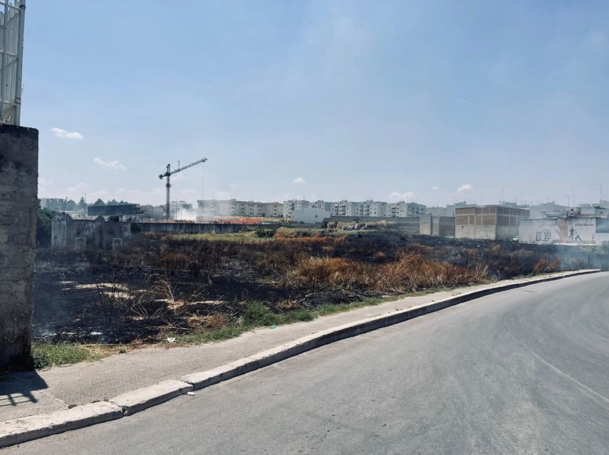Andria, due incendi divampano vicino alle abitazioni e a un centro polifunzionale: nessun ferito Andria, due incendi divampano vicino alle abitazioni e a un centro polifunzionale: nessun ferito
