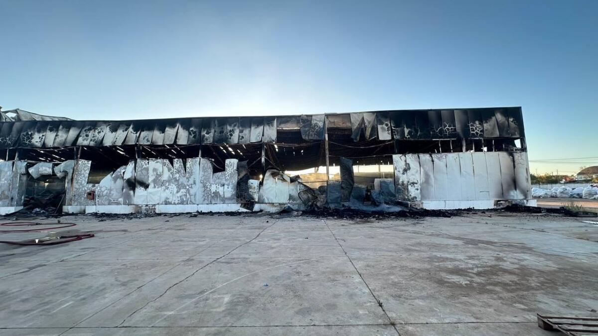 Notte di fuoco a Nardò, in fiamme un capannone nella zona industriale – FOTO Notte di fuoco a Nardò, in fiamme un capannone nella zona industriale – FOTO