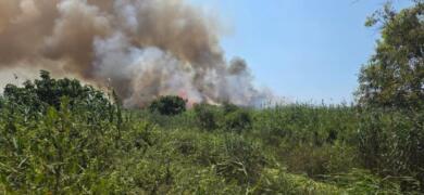 Brucia la Palude del Conte, in fiamme l’area naturalistica tra le provincie di Taranto e Lecce