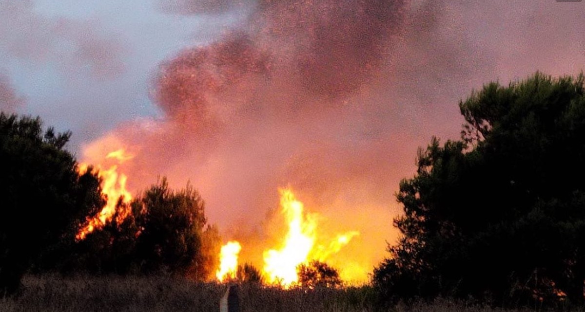 Puglia, 63 incendi solo nell’ultimo mese: seconda in Italia per area percorsa dal fuoco Puglia, 63 incendi solo nell’ultimo mese: seconda in Italia per area percorsa dal fuoco