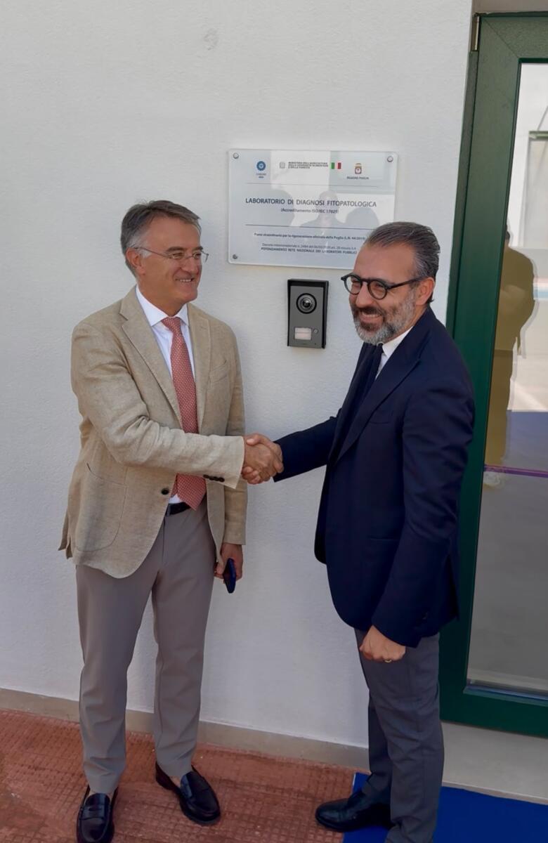 Rigenerazione olivicola, dalla Puglia un modello di prevenzione: il nuovo laboratorio del Ciheam Bari – FOTO