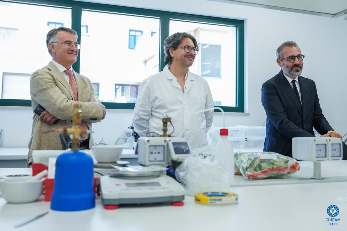 Rigenerazione olivicola, dalla Puglia un modello di prevenzione: il nuovo laboratorio del Ciheam Bari – FOTO