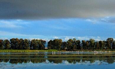 Fuoriporta – Lago Salso, l’oasi ferita dal fuoco dove torna il volo di uccelli migratori