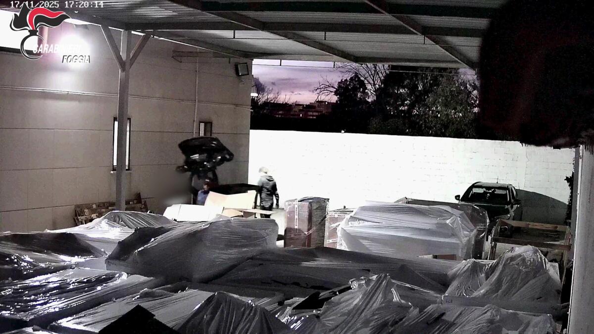 Auto rubate e i pezzi rivenduti anche online, la base operativa a Cerignola: otto arresti – VIDEO