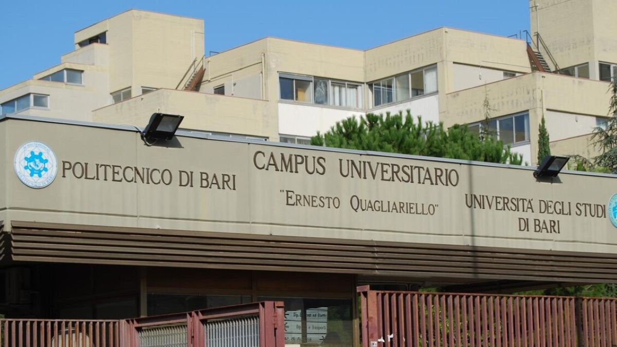 Bari, il Politecnico secondo in Italia per occupazione post laurea: «Un’eccellenza al Sud» Bari, il Politecnico secondo in Italia per occupazione post laurea: «Un’eccellenza al Sud»