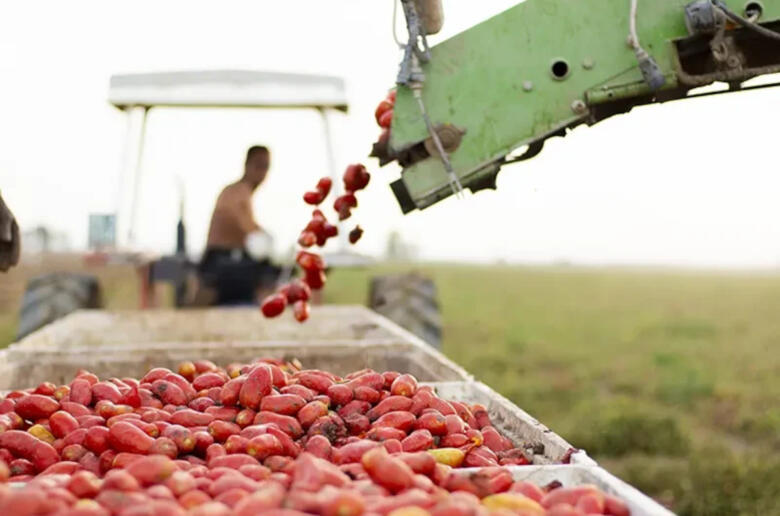 pomodoro