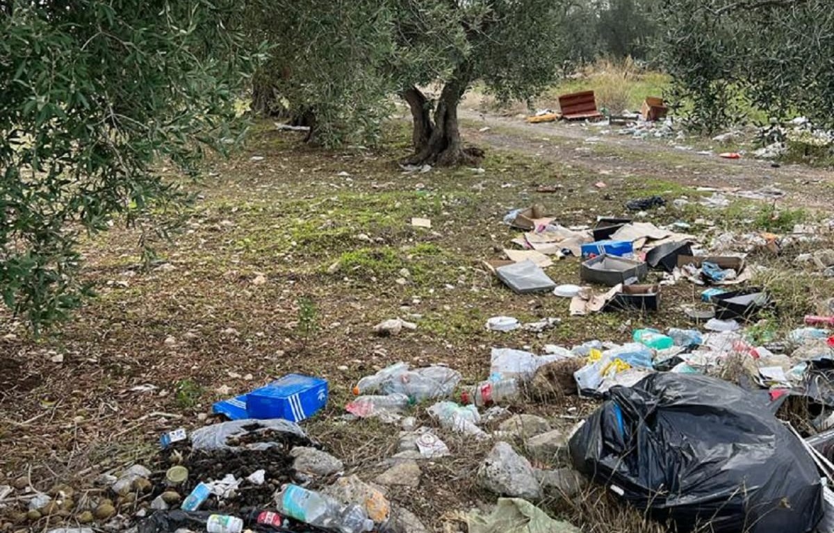Rifiuti abbandonati nelle campagne pugliesi, il doppio affare della criminalità Rifiuti abbandonati nelle campagne pugliesi, il doppio affare della criminalità