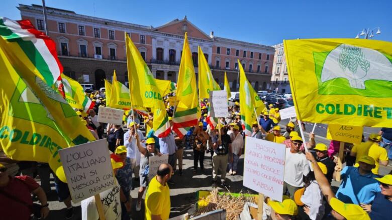 sit in coldiretti