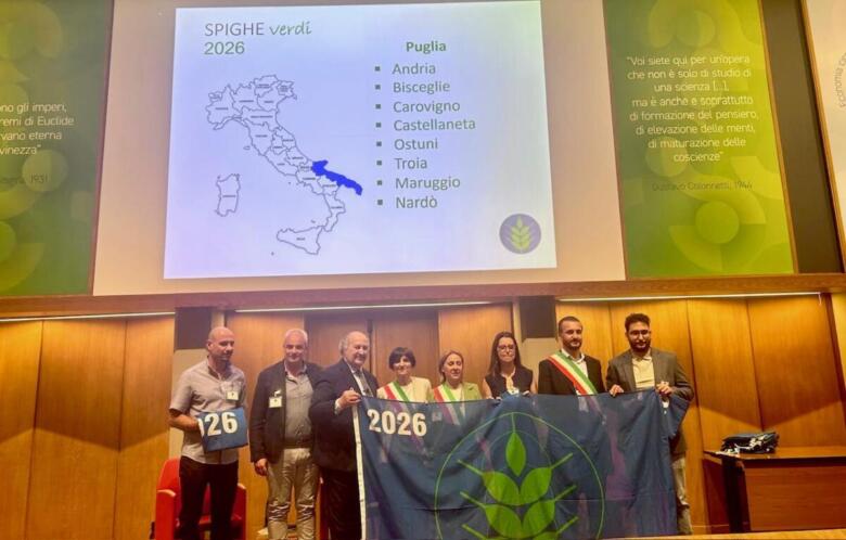 spighe verdi