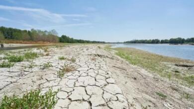 Caldo, in Puglia metà della superficie agricola a rischio desertificazione