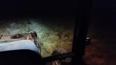 Il caldo detta i tempi in agricoltura, in Puglia si lavora nei campi di notte e fino all’alba – VIDEO