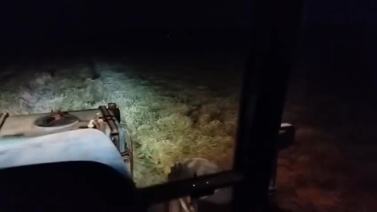Il caldo detta i tempi in agricoltura, in Puglia si lavora nei campi di notte e fino all’alba – VIDEO