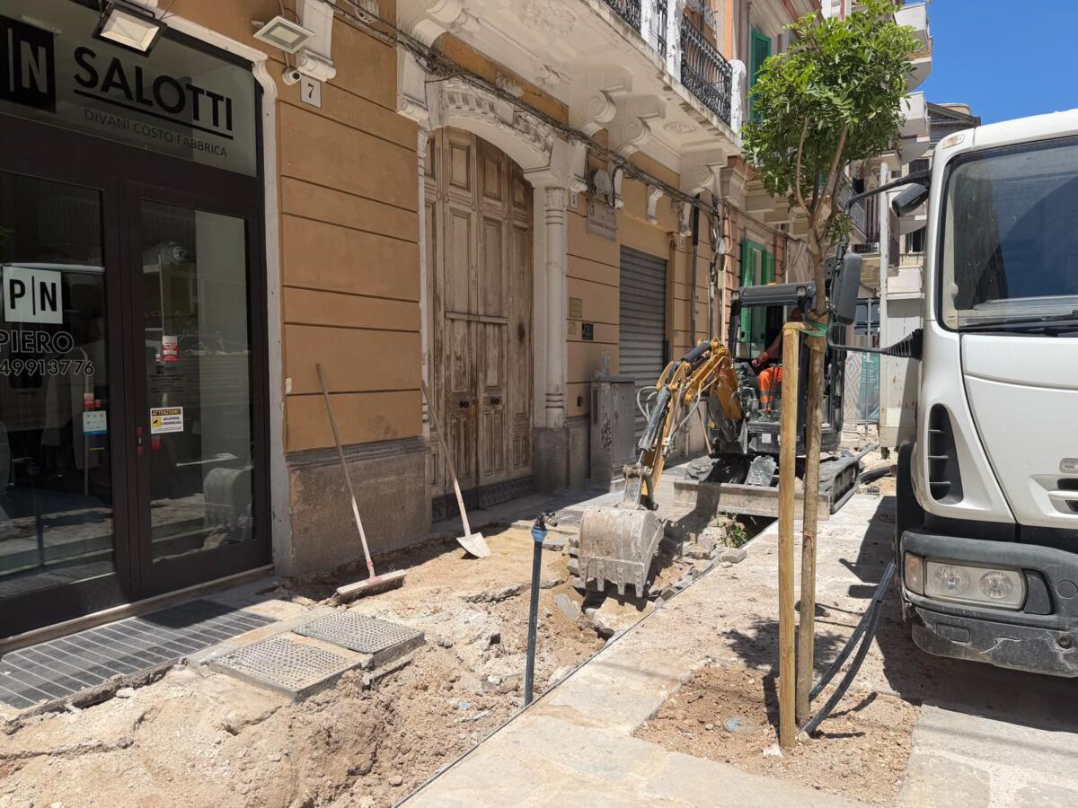 Bari, via Manzoni si rifà il look: i volontari ripiantano il verde rubato e il cantiere va avanti