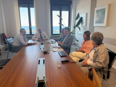 Allarme lecci a Bari, 1.800 alberi sotto scacco della cocciniglia: asse Comune-Regione per un piano