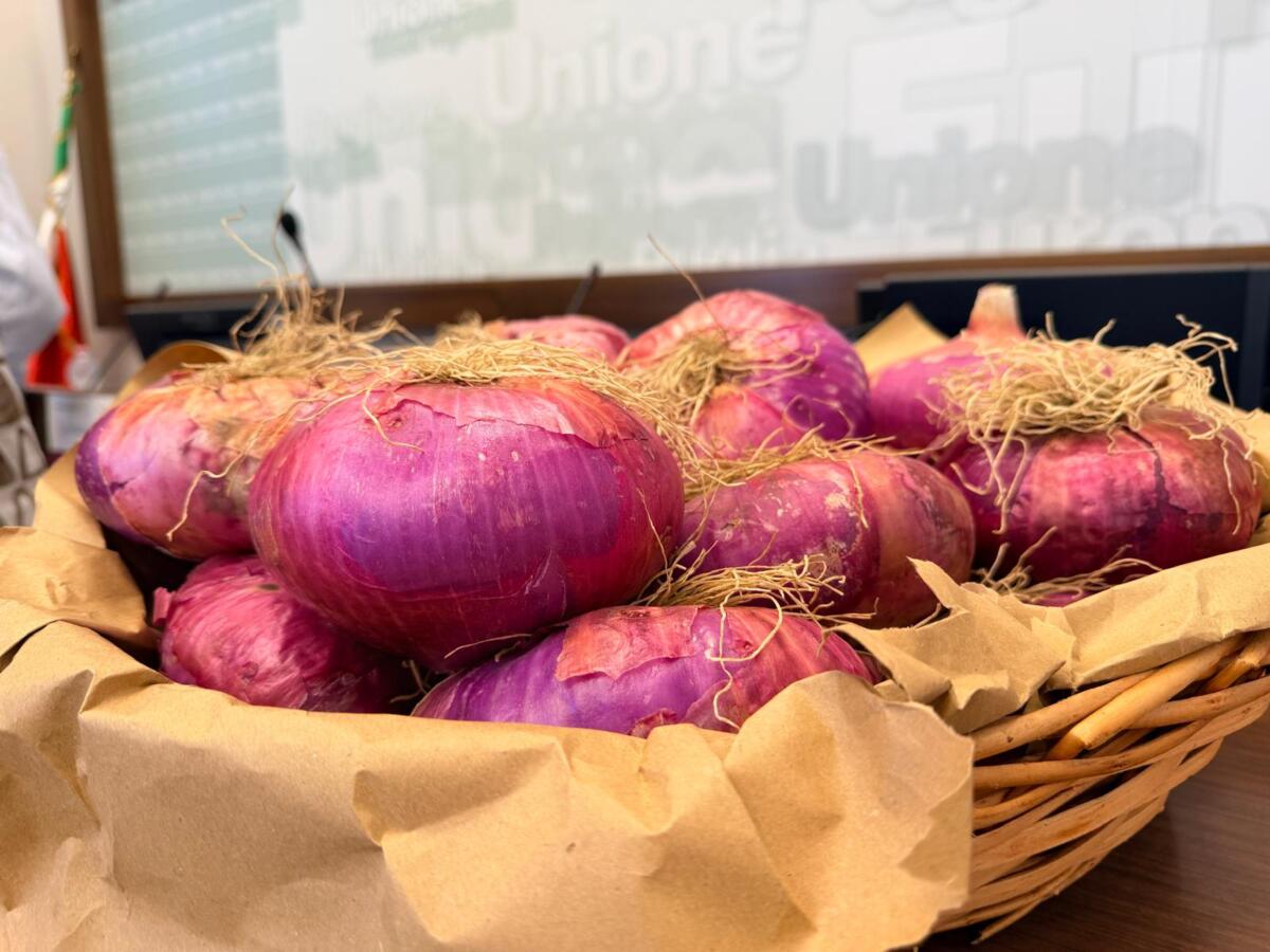 La Cipolla Rossa di Acquaviva compie 25 anni: un weekend tra gastronomia, arte e musica La Cipolla Rossa di Acquaviva compie 25 anni: un weekend tra gastronomia, arte e musica