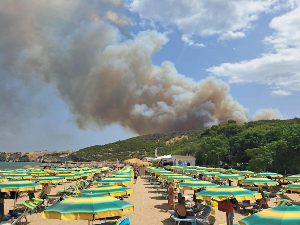 Peschici, vasto incendio tra macchia mediterranea e abitazioni: iniziata l’evacuazione Peschici, vasto incendio tra macchia mediterranea e abitazioni: iniziata l’evacuazione