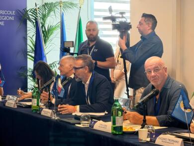 Olivicoltura, asse Puglia-Calabria per tutelare la filiera: a settembre la Cpa si riunisce in Fiera del Levante