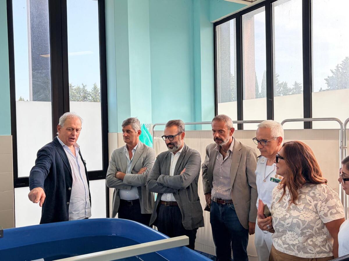 UniBa, a Valenzano la nuova Sea Turtle Clinic per salvare le tartarughe del Mediterraneo – VIDEO