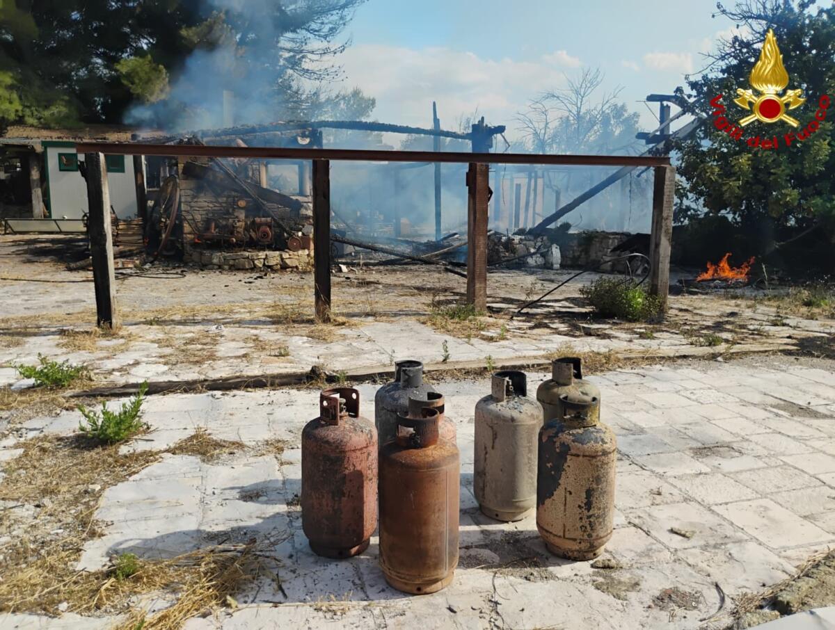 Paura al Ranch Natalino di Bitritto: fiamme nel centro ippico, i Vigili del Fuoco salvano i cavalli – FOTO